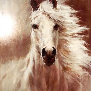 Meet your Posher, Sherri